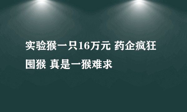 实验猴一只16万元 药企疯狂囤猴 真是一猴难求