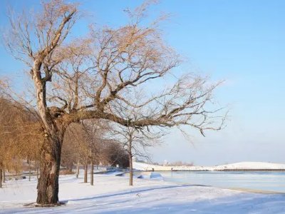 御寒又节能，东京政府鼓励民众穿高领毛衣，今年冬天到底应该怎么过呢？