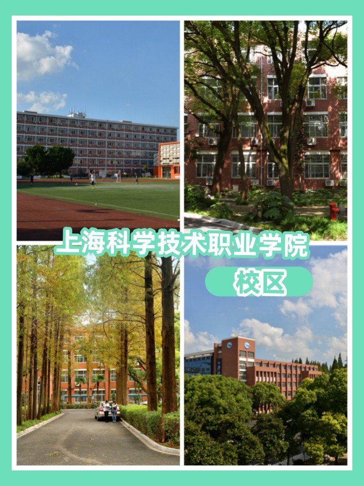 上海科学技术职业学院有几个校区及各个校区的介绍