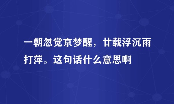 一朝忽觉京梦醒，廿载浮沉雨打萍。这句话什么意思啊