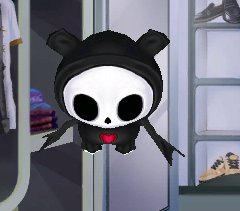 qq炫舞哪些宠物有翅膀的 求宠物图片和宠物名字