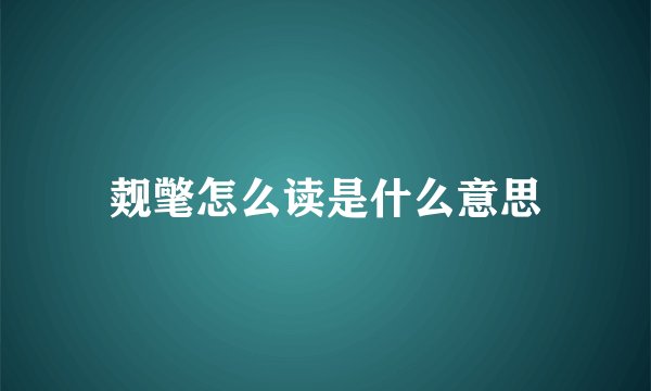 觌氅怎么读是什么意思