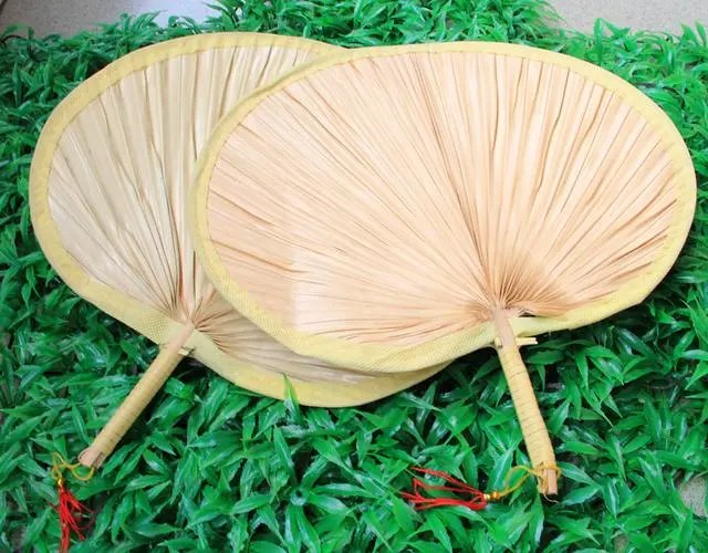 玉蒲扇指的是什么？