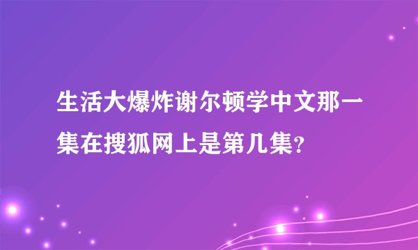 生活大爆炸谢尔顿学中文那一集在搜狐网上是第几集？