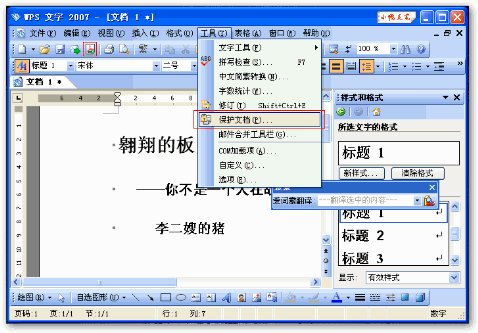wps2007的Wps Office 2007 专业版