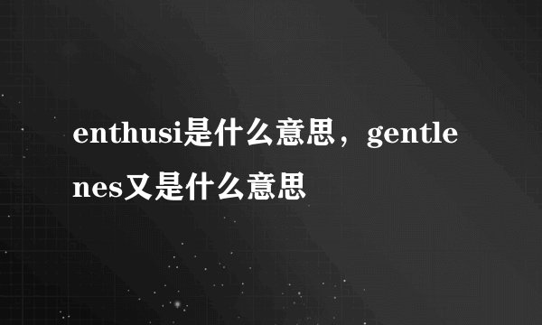enthusi是什么意思，gentlenes又是什么意思