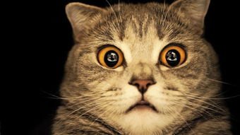 为什么说胆小的人别在地铁看恐怖片？