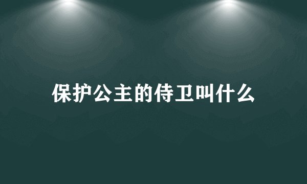 保护公主的侍卫叫什么