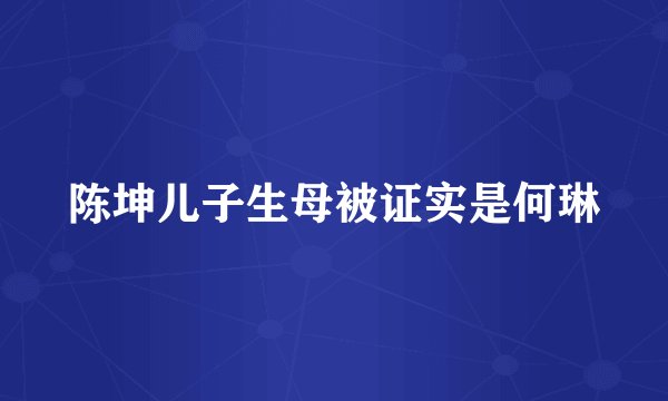 陈坤儿子生母被证实是何琳
