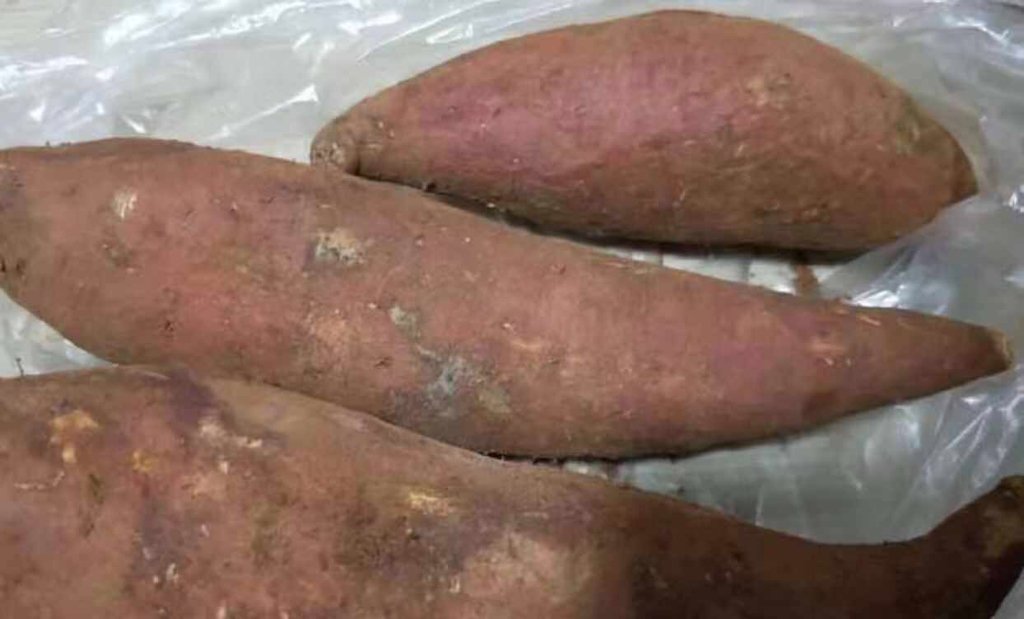 红薯放冰箱里面好吗？