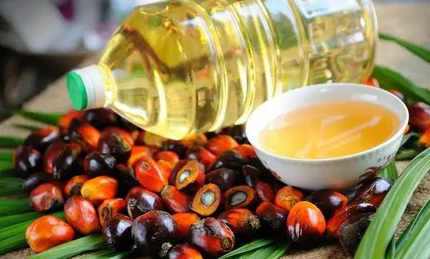 常用于生产油炸膨化零食的棕榈油是产自？