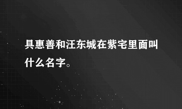具惠善和汪东城在紫宅里面叫什么名字。