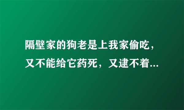 隔壁家的狗老是上我家偷吃，又不能给它药死，又逮不着，求大神支招