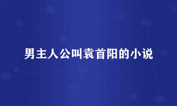 男主人公叫袁首阳的小说