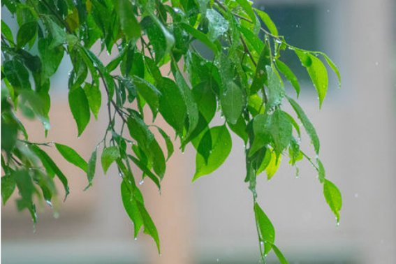 赞美三月春光美的短句