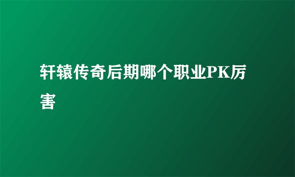轩辕传奇后期哪个职业PK厉害