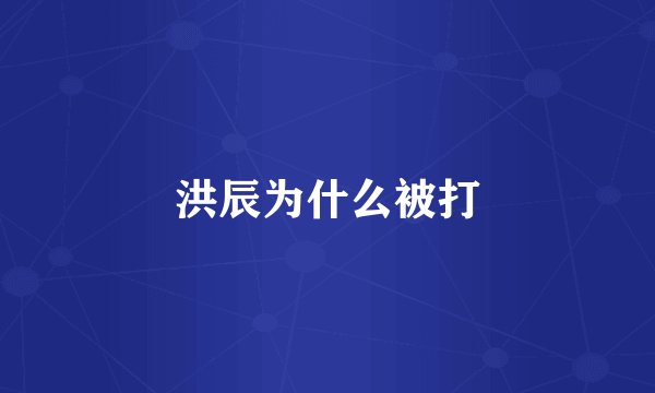 洪辰为什么被打