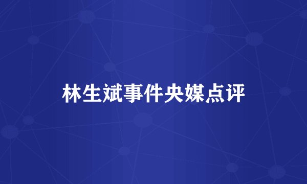 林生斌事件央媒点评