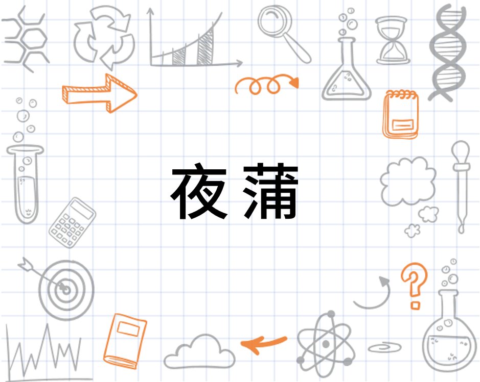 夜蒲是什么意思