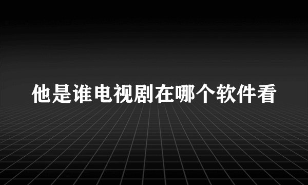他是谁电视剧在哪个软件看