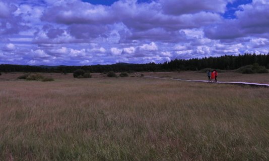 “风起青萍之末”是什么意思？