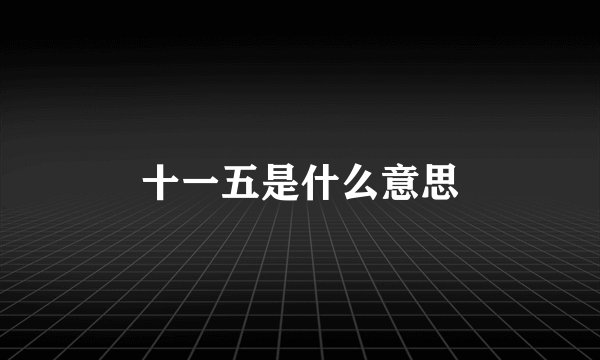 十一五是什么意思