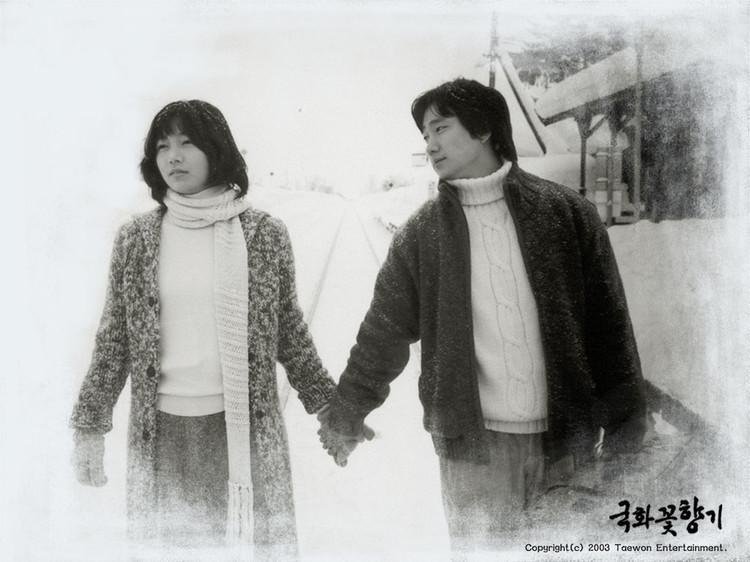 《菊花香》到底好不好呢？