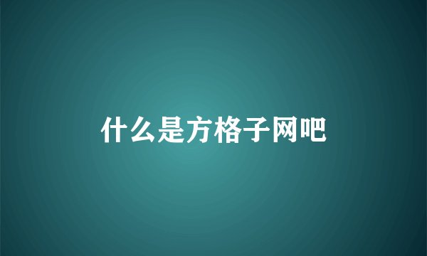 什么是方格子网吧