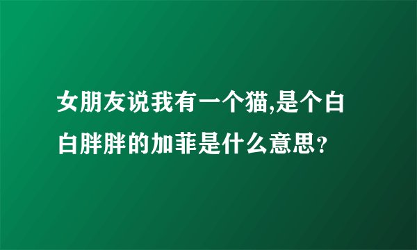 女朋友说我有一个猫,是个白白胖胖的加菲是什么意思？