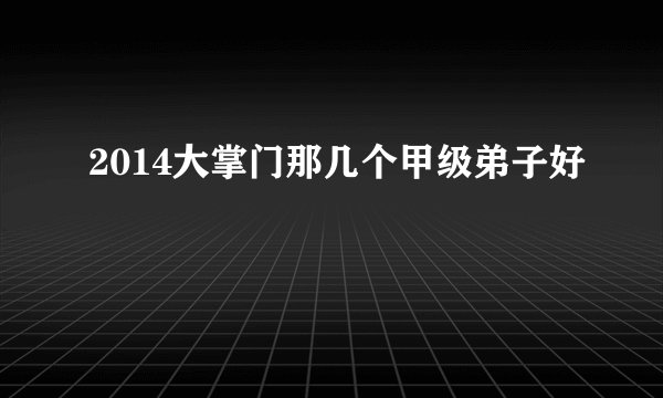2014大掌门那几个甲级弟子好