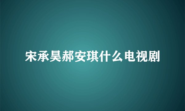 宋承昊郝安琪什么电视剧