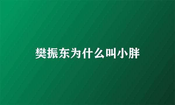 樊振东为什么叫小胖