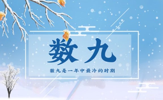 什么时候进入一九