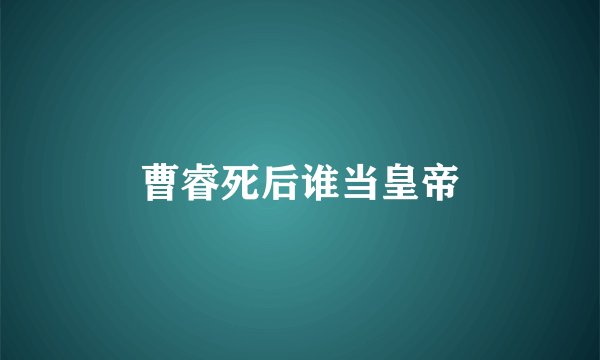 曹睿死后谁当皇帝