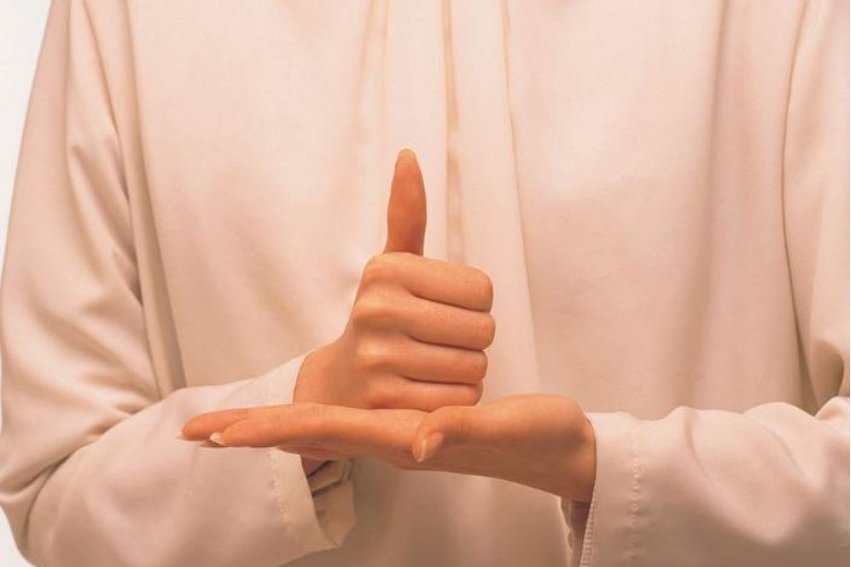 sign language啥意思