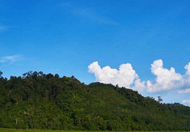 扩的拼音组词部首