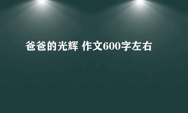 爸爸的光辉 作文600字左右