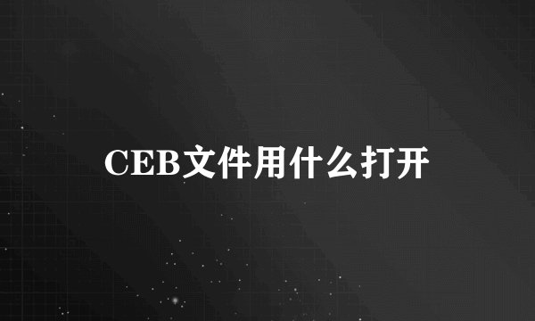 CEB文件用什么打开