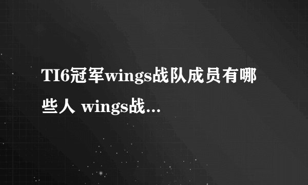 TI6冠军wings战队成员有哪些人 wings战队队长是谁