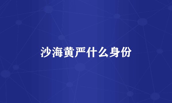 沙海黄严什么身份