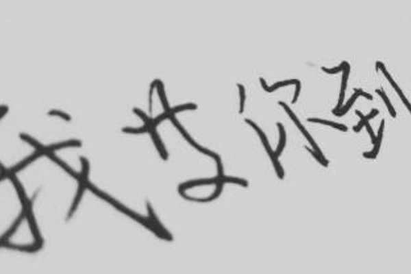 南康白起是谁？