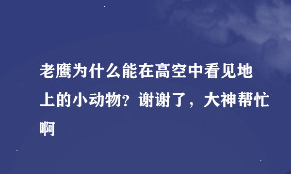 老鹰为什么能在高空中看见地上的小动物？谢谢了，大神帮忙啊
