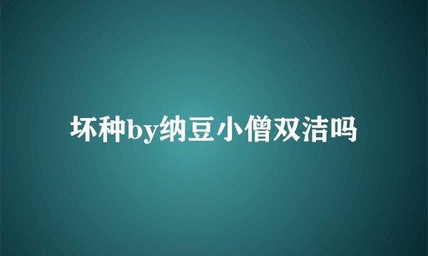 坏种by纳豆小僧双洁吗