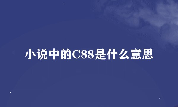 小说中的C88是什么意思