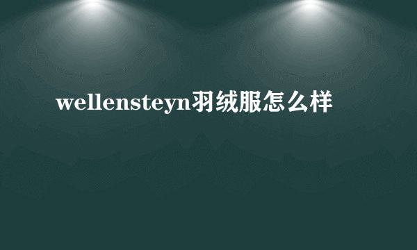 wellensteyn羽绒服怎么样