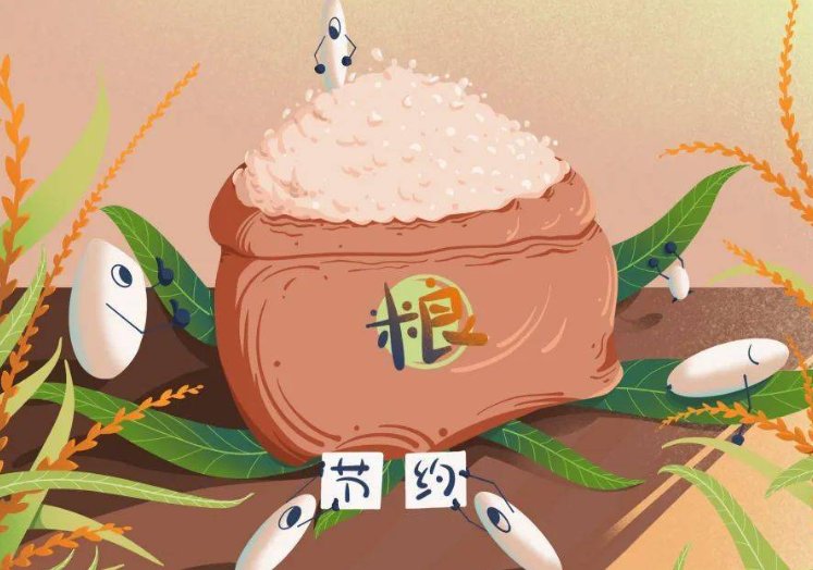 我国口粮自给率达到多少