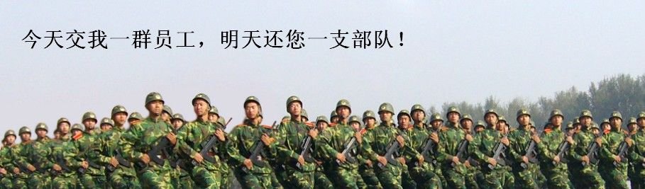 野战奇兵的介绍