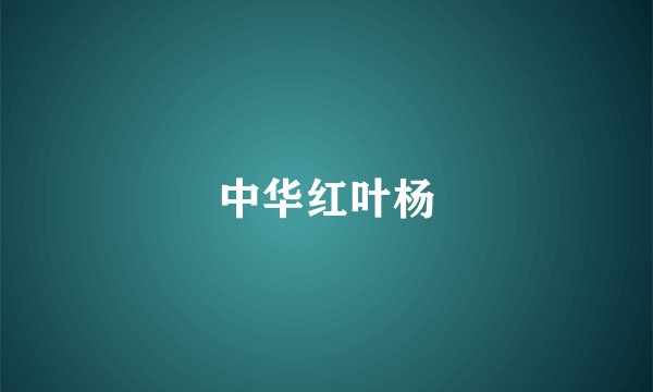 中华红叶杨