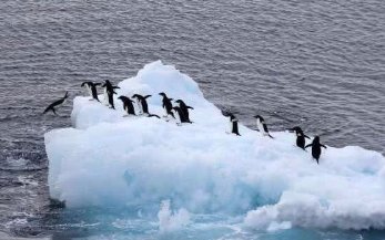 雪海冰山打三个数字