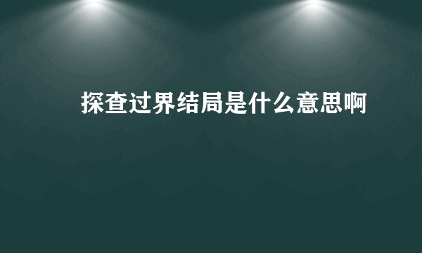 囧探查过界结局是什么意思啊